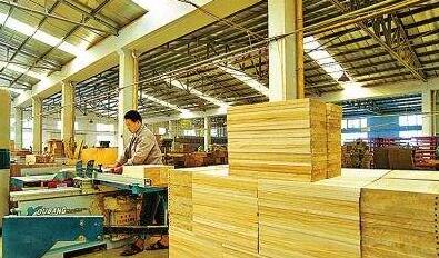全国木材市场行情回暖，天津地区加工企业订单爆满迎来生产高峰